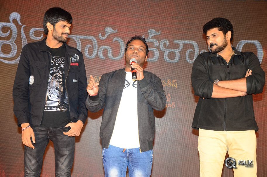 Srinivasa-Kalyanam-Movie-Success-Meet